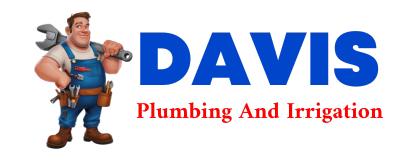 Trusted plumber in CLIFFORD